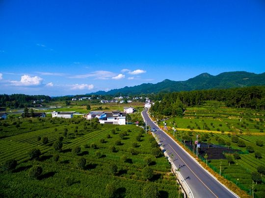 滨河大道二期道路工程