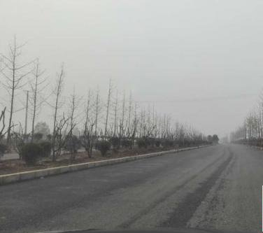 周至县县城新区道路绿化工程；108国道（沙河桥-南大门）景观绿化工程；周至县北环路道路绿化工程