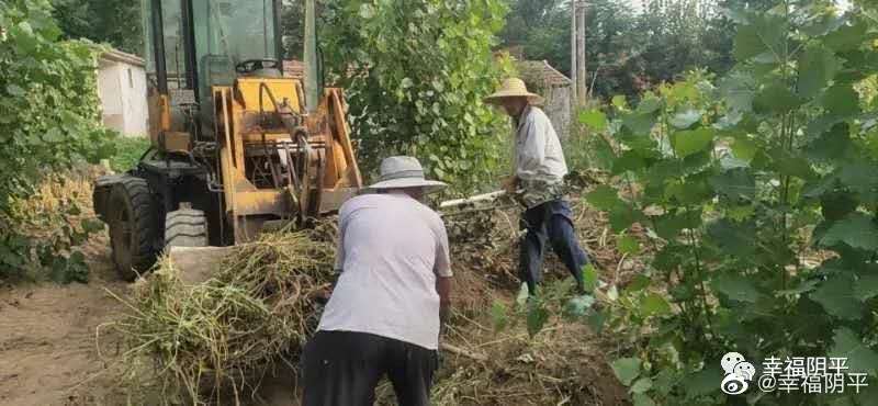 惠州监狱潲水垃圾清运服务采购项目成交公告