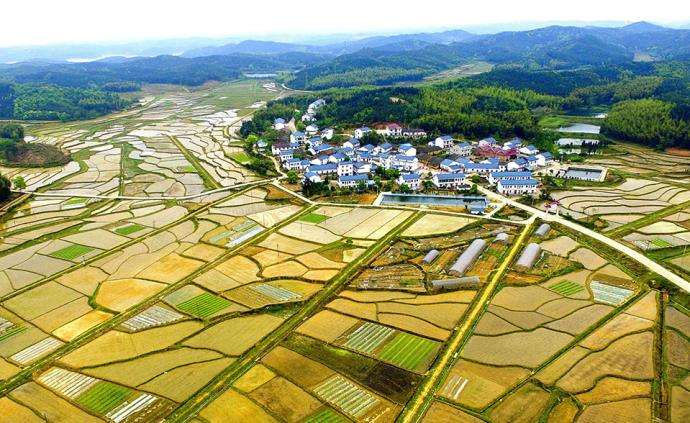 西安市临潼区农村“房地一体”宅基地和集体建设用地不动产权籍调查牵头服务采购项目、地权籍调查服务采购项目