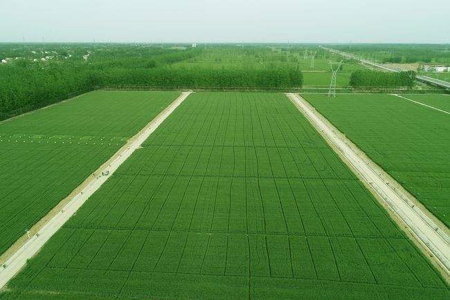 西安市阎良区2020年1万亩高标准农田建设项目