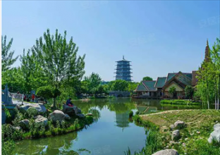 广运潭公园两堤间公共绿地 2022-2024 年度绿化养护服务项目