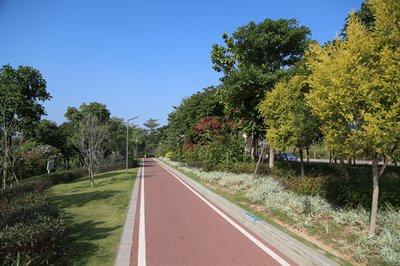 富平县2019年美丽道路绿化建设项目（一标段）