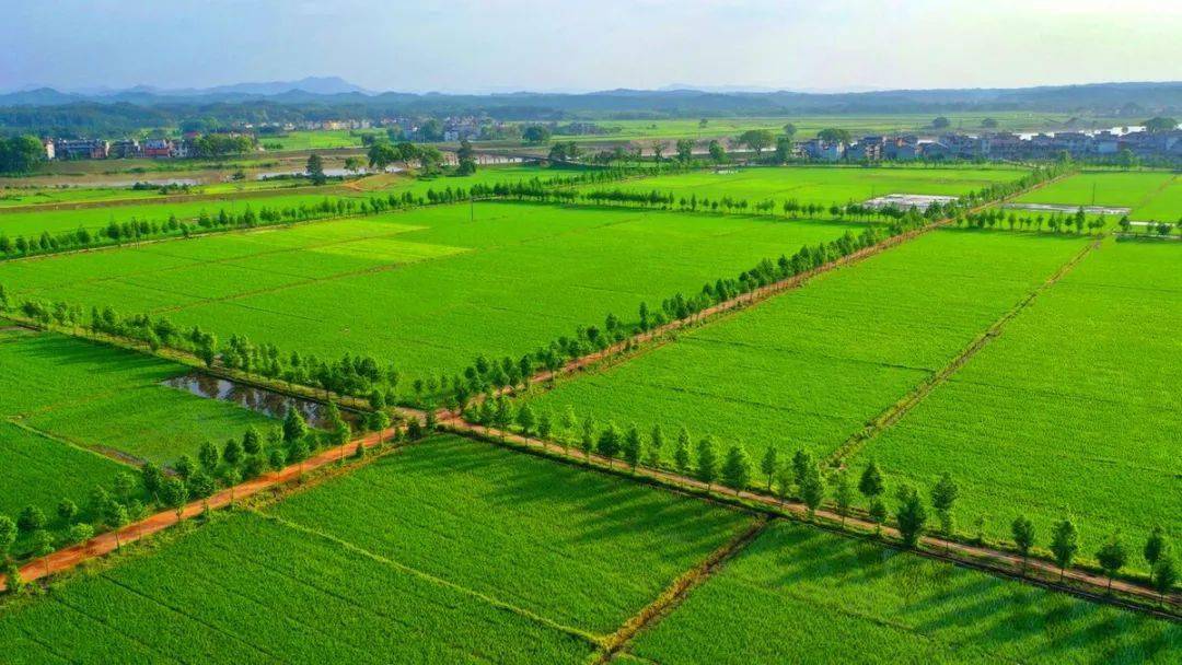 扶风县2014年高标准基本农田建设项目（一标段）扶风天度镇南阳村等6个村高标准基本农田建设项目