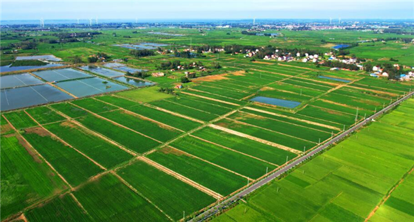 全国新增千亿斤粮食生产能力规划田间工程2018年富平县水利项目
