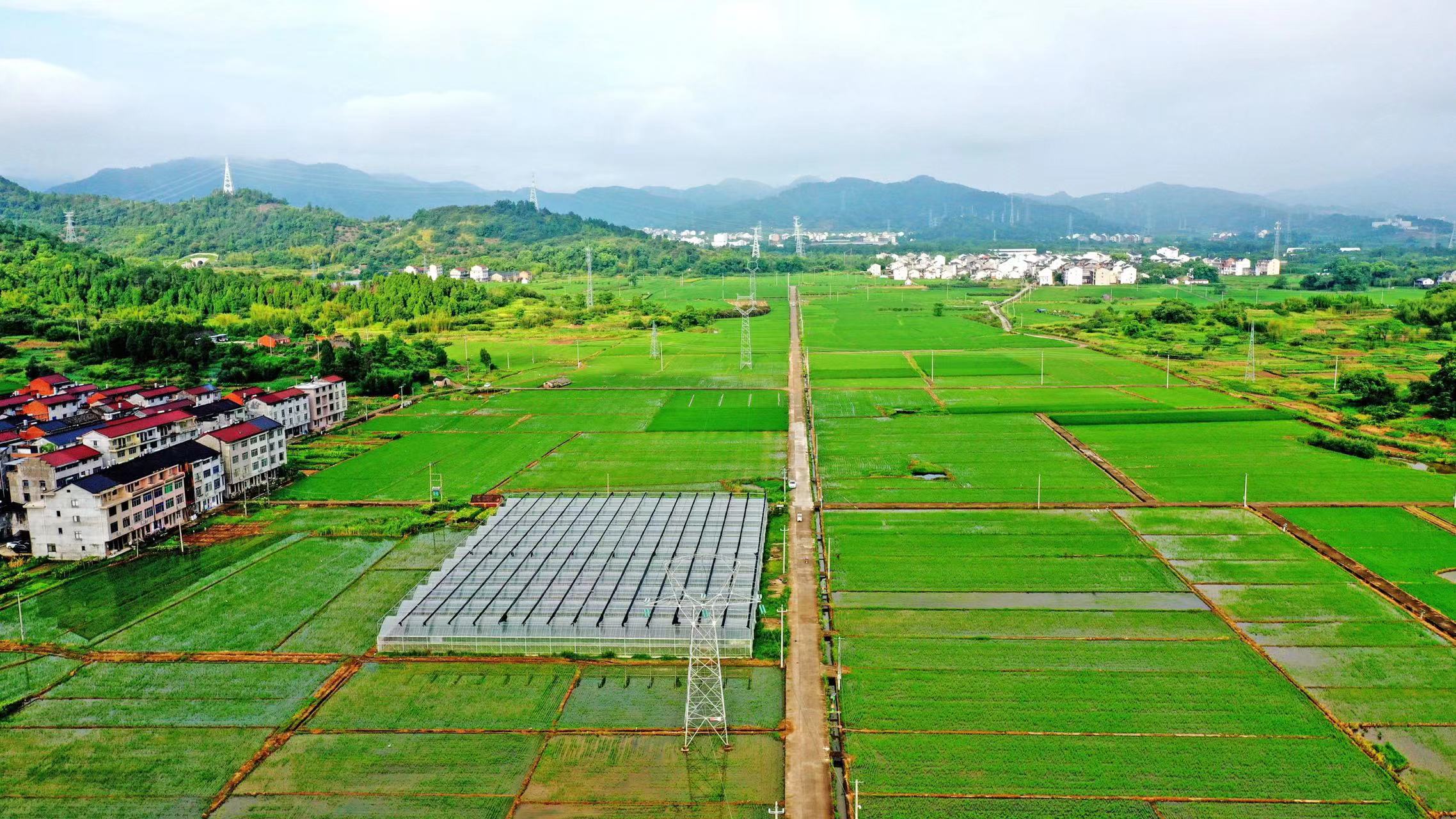 长武县巨家镇2020年中央预算内高标准农田建设项目监理一标段