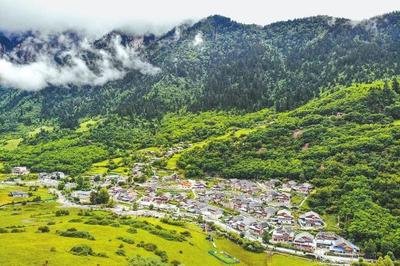 蓝田县王顺山森林公园地质灾害处理项目