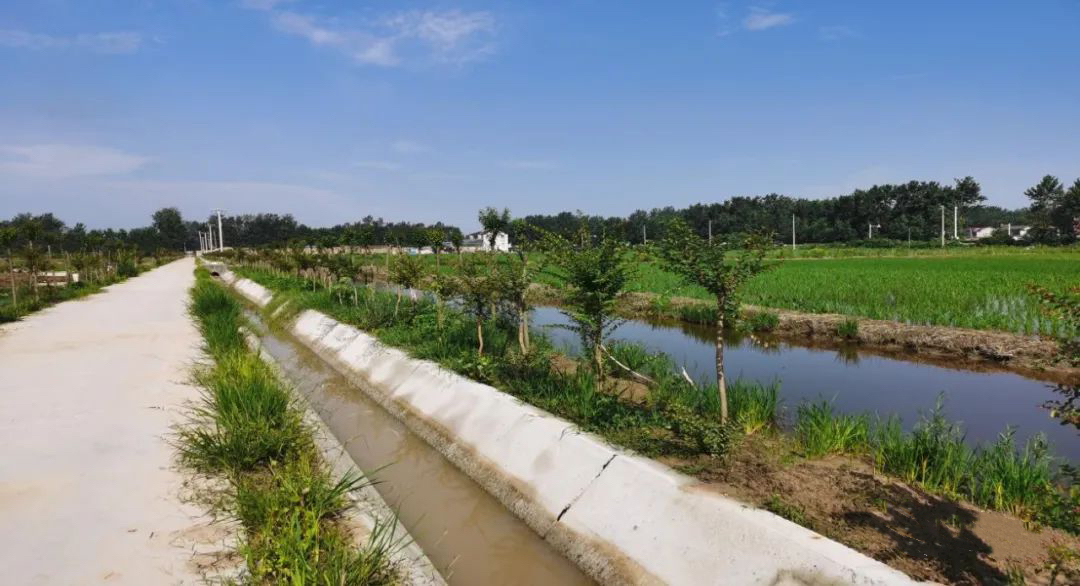 扶风县2020年高标准基本农田建设项目（一标段）建设项目监理